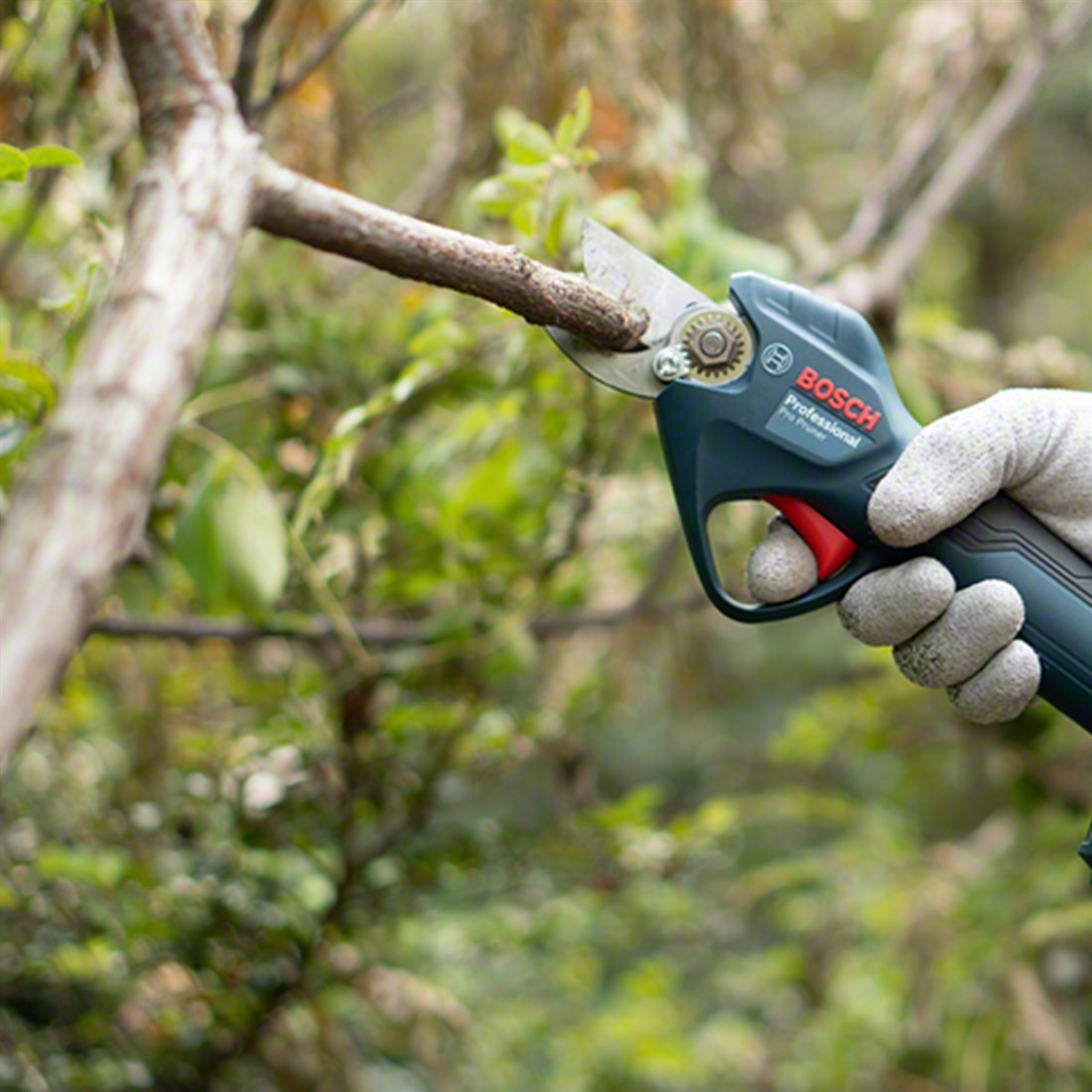  Bosch Professional Pro Pruner Akülü Bahçe Makası (Solo) - 06019K1020 